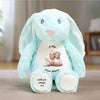 Personalised Plush Blue Rabbit